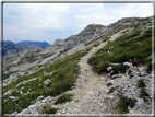 foto Opere belliche della Grande Guerra sul Pasubio